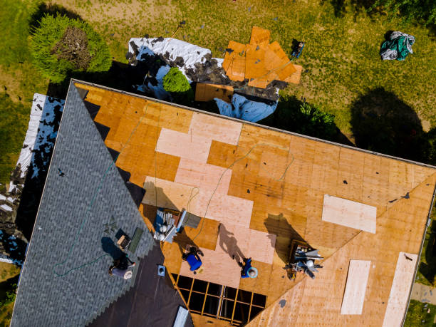 Best Roof Waterproofing Services  in St David, AZ