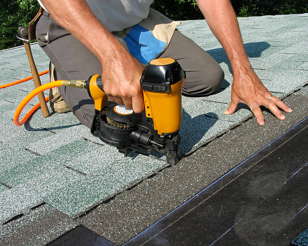 Best Roof Gutter Cleaning  in St David, AZ
