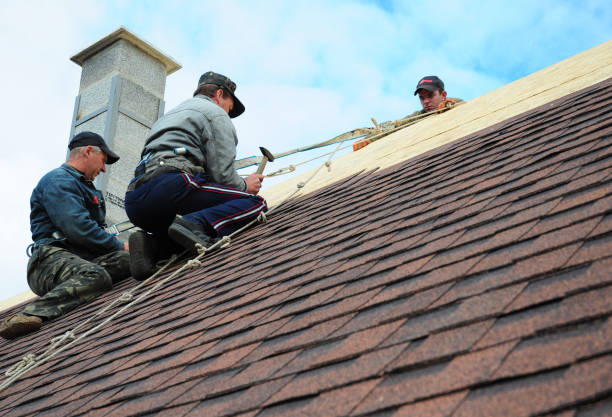 Best Commercial Roofing Services  in St David, AZ